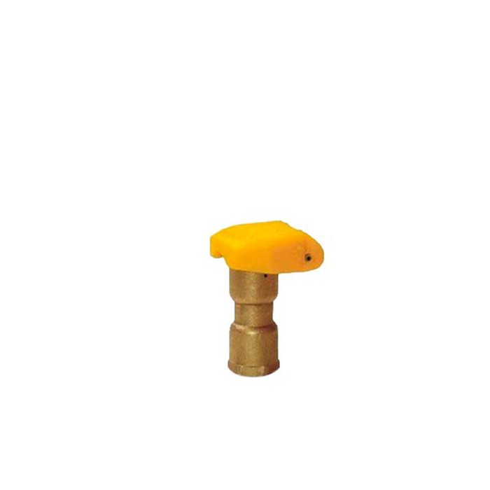 Boca Rega Bronze