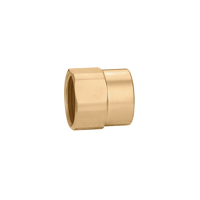 383* União Fêmea/Fêmea