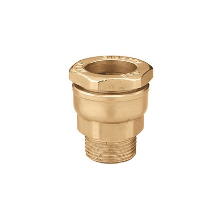 891* Uniao Macho Deca